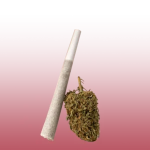THCa Pre-rolls - Creamery