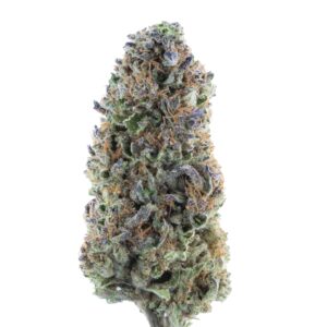 THCa Flower - Amaretto Sour (Greenhouse)