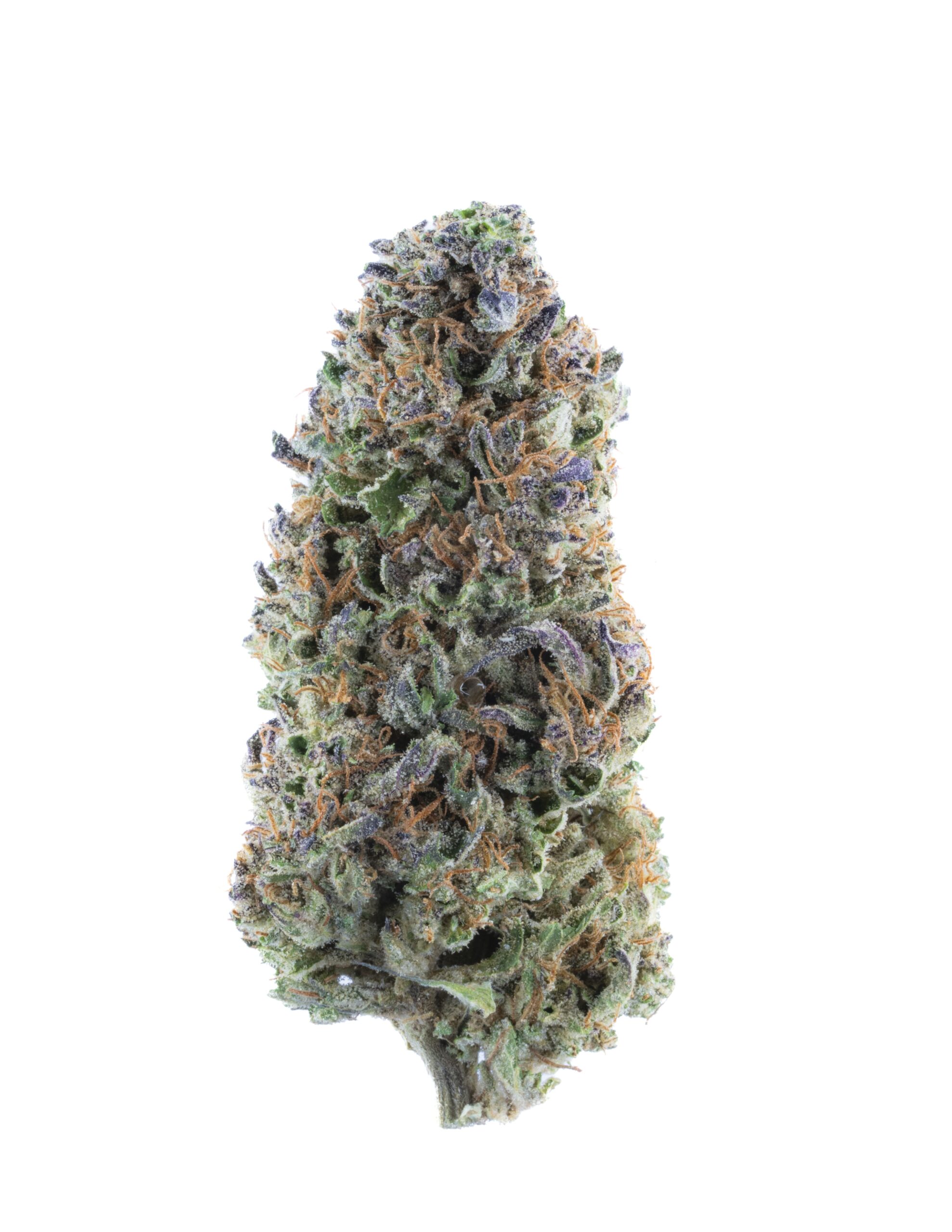 THCa Flower - Amaretto Sour (Greenhouse)