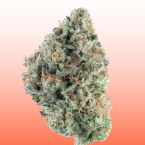THCa Flower - Cereal Milk (Greenhouse)
