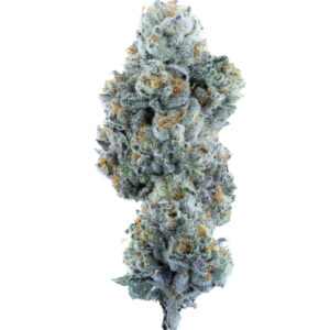 THCa Flower - Horchata (Indoor)