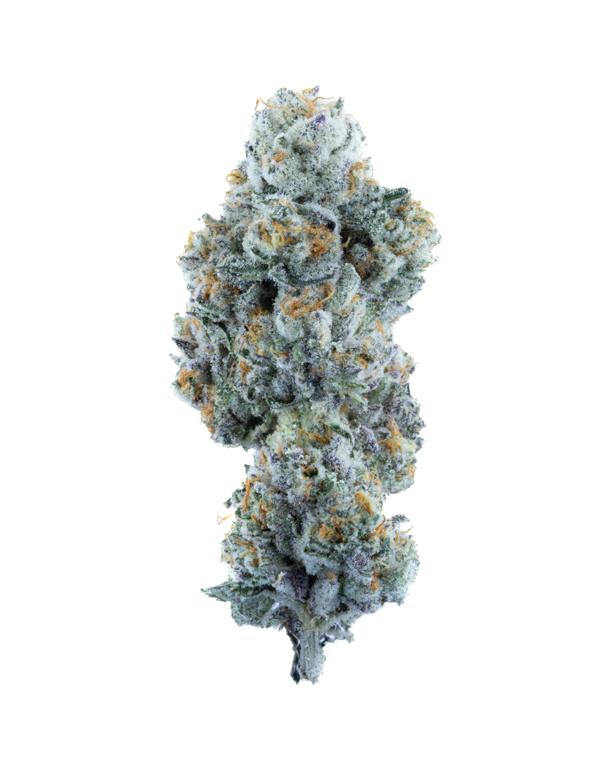 THCa Flower - Horchata (Indoor)