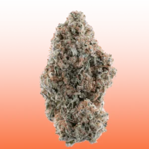 THCa Flower - Papaya Cake (Greenhouse)