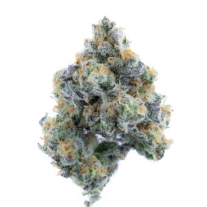 THCa Flower - Glitter Bomb x Gas Face (Indoor)