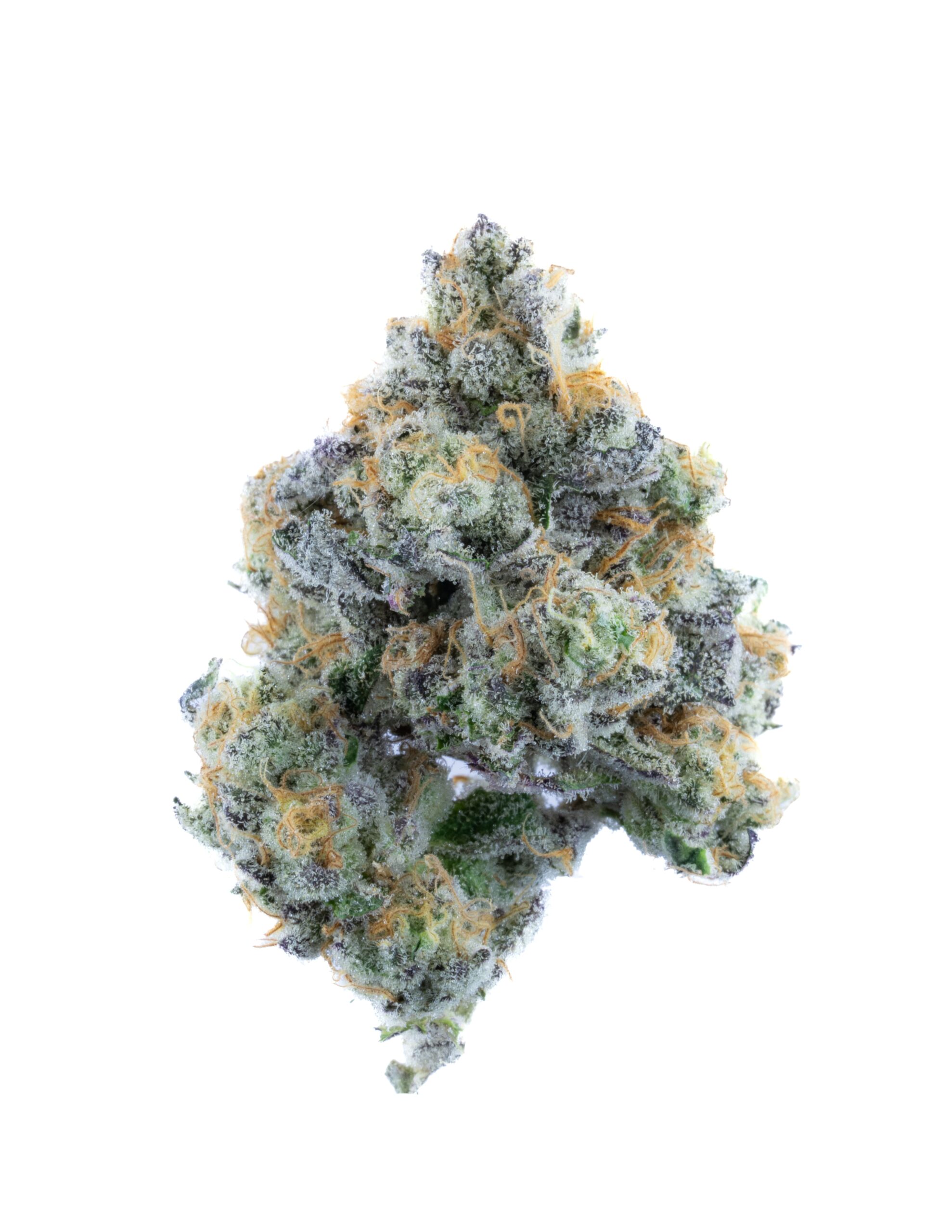 THCa Flower - Glitter Bomb x Gas Face (Indoor)